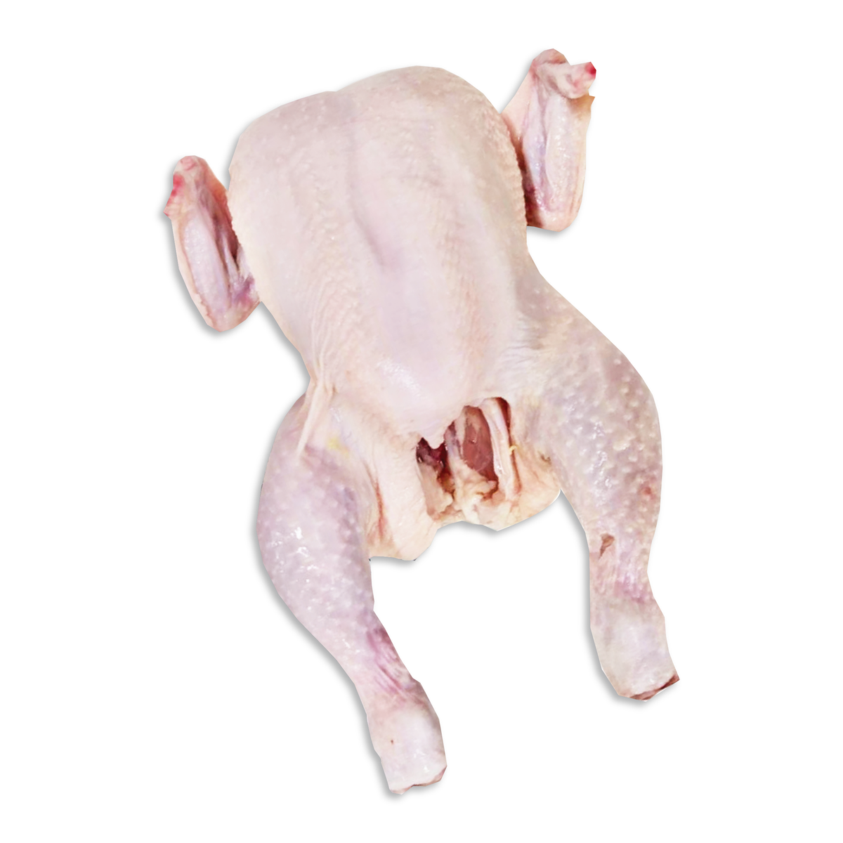 Ayam Bulat/Whole Chicken (1.2kg-1.4kg/pack) Prime Cut