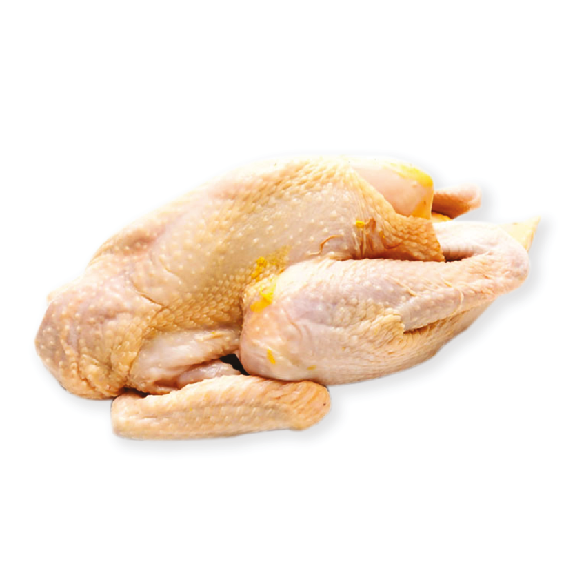 Ayam Kampung Asli Whole Chicken Cut-16pcs (1.5kg-1.7kg) Prime Cut