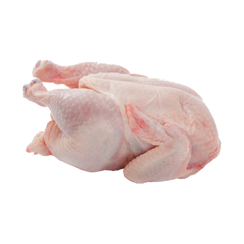 Ayam Dara/Spring Chicken (700g-1000g)